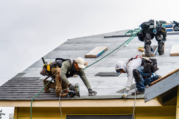 Professional Gutter Installation technician working in Palm Springs, FL